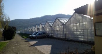 Први блок стакленика у Врањској Бањи до краја године