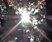 Сунчана субота у Врању – температура до 19 степени