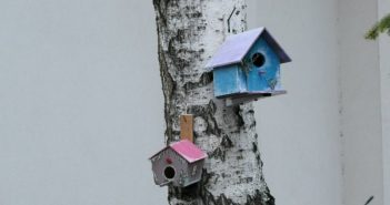 Ученици Вукове школе украсили двориште кућицама за птичице