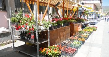 Како иде продаја цвећа на шеталишту у Врању?
