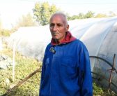 Јовица из Александровца на њиви од јутра до мрака