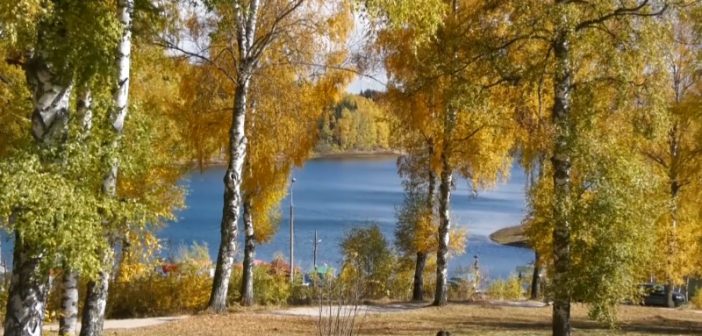 Власинско језеро, резерват природе са пловећим острвима и богатом флором и фауном