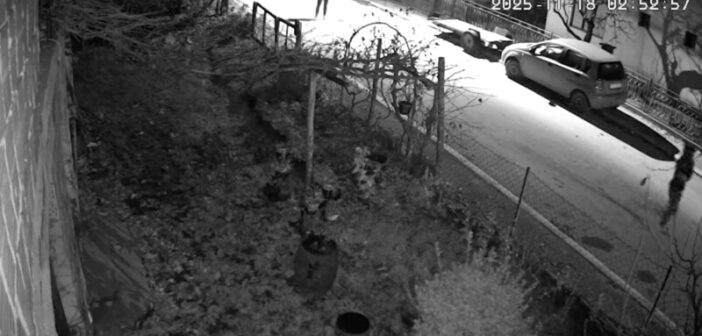 ОО СНС Владичин Хан: Најоштрије осуђујемо сваки вид насиља, застрашивања и притиска над председницом Скупштине