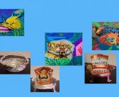 Обележавање Међународног дана особа са инвалидитетом