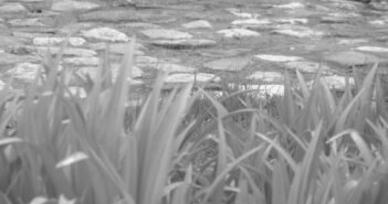 Слађан Стојановић добитник прве награде на фестивалу ,,Златна буклија“