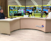 Међународна изложба паса у Врању – стижу излагачи из више од 15 земаља