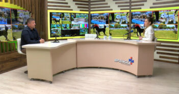 Међународна изложба паса у Врању – стижу излагачи из више од 15 земаља