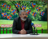 Град Врање наставиће да пружа подршку деци са аутизмом