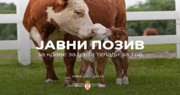 Расписан Jавни позив за остваривање права на подстицаје у сточарству
