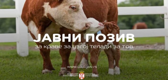 Расписан Jавни позив за остваривање права на подстицаје у сточарству