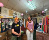 Уметници из Србије и региона стварају у Врању – отворена Међународна ликовна колонија